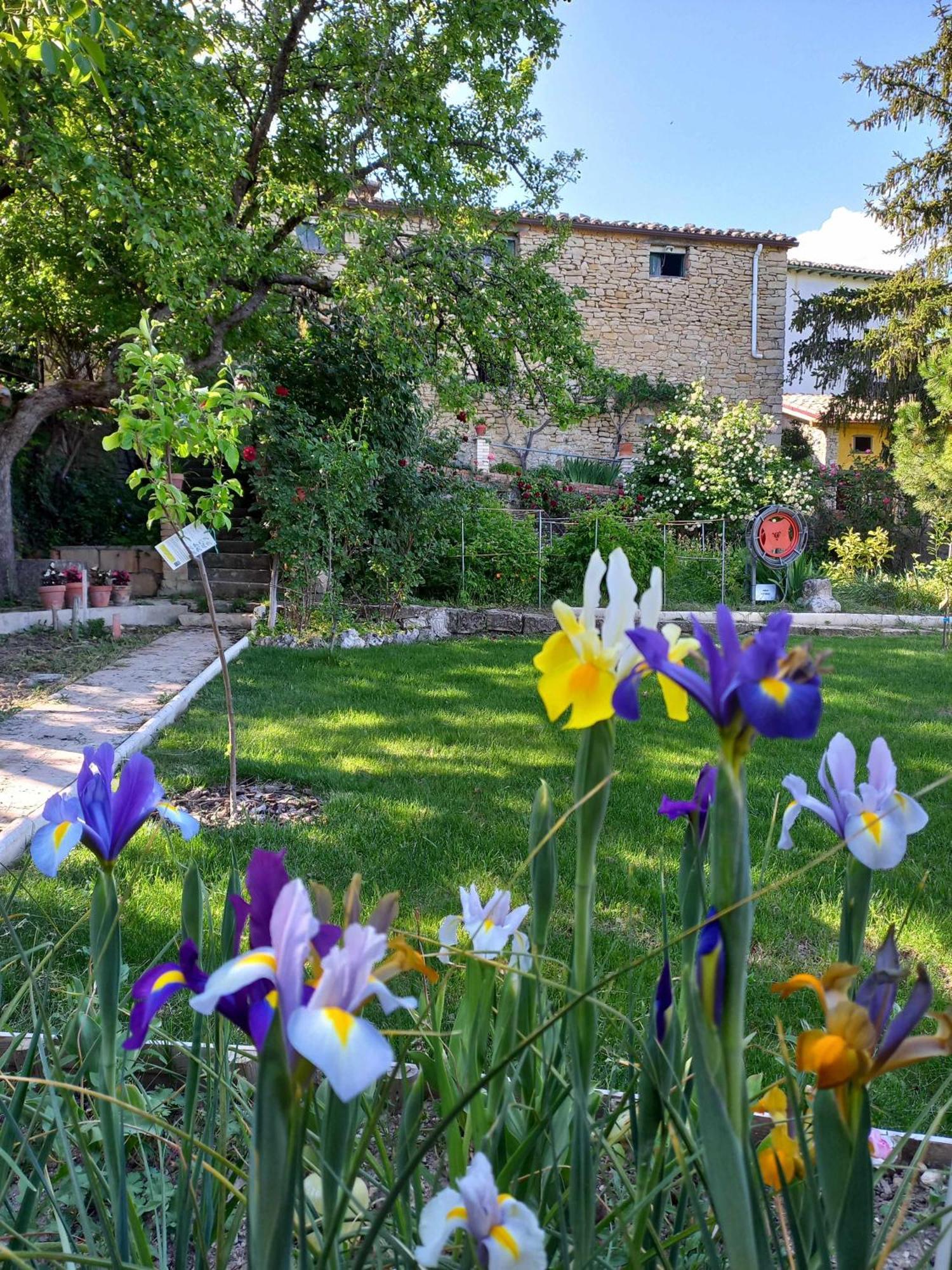 Casa Albaitar Con Piscina Y Sala De Juegos Azcona Dış mekan fotoğraf